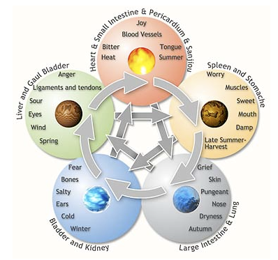 Five Elements Theory link to natural environment